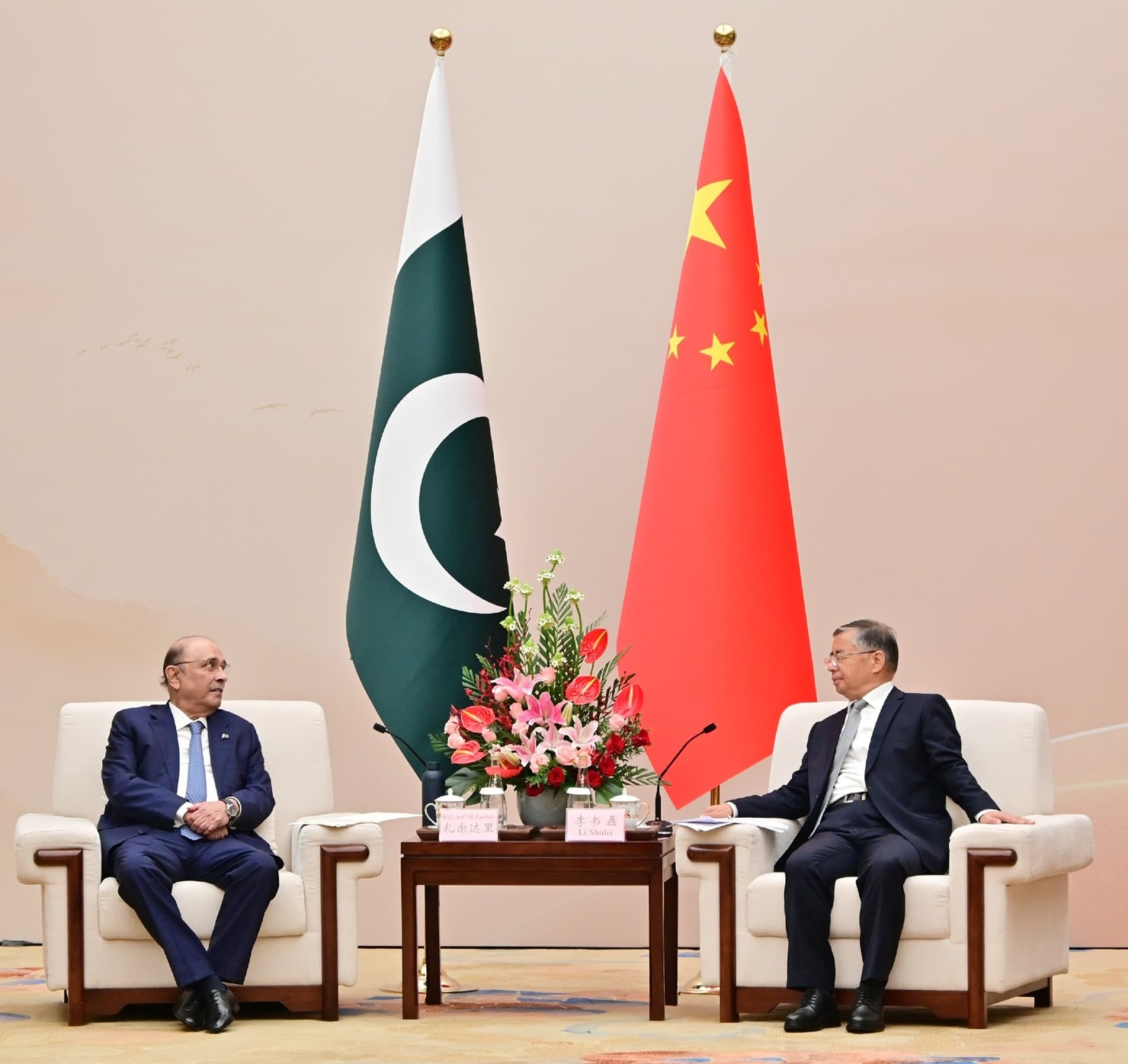Pakistan fully supports China’s vision of 'civilisation exchange, mutual learning': President Zardari 